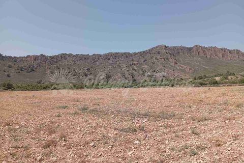 Helårsgrund i Yecla, Murcia, Yecla - € 39.000 | Ref: SF0472 - foto 5